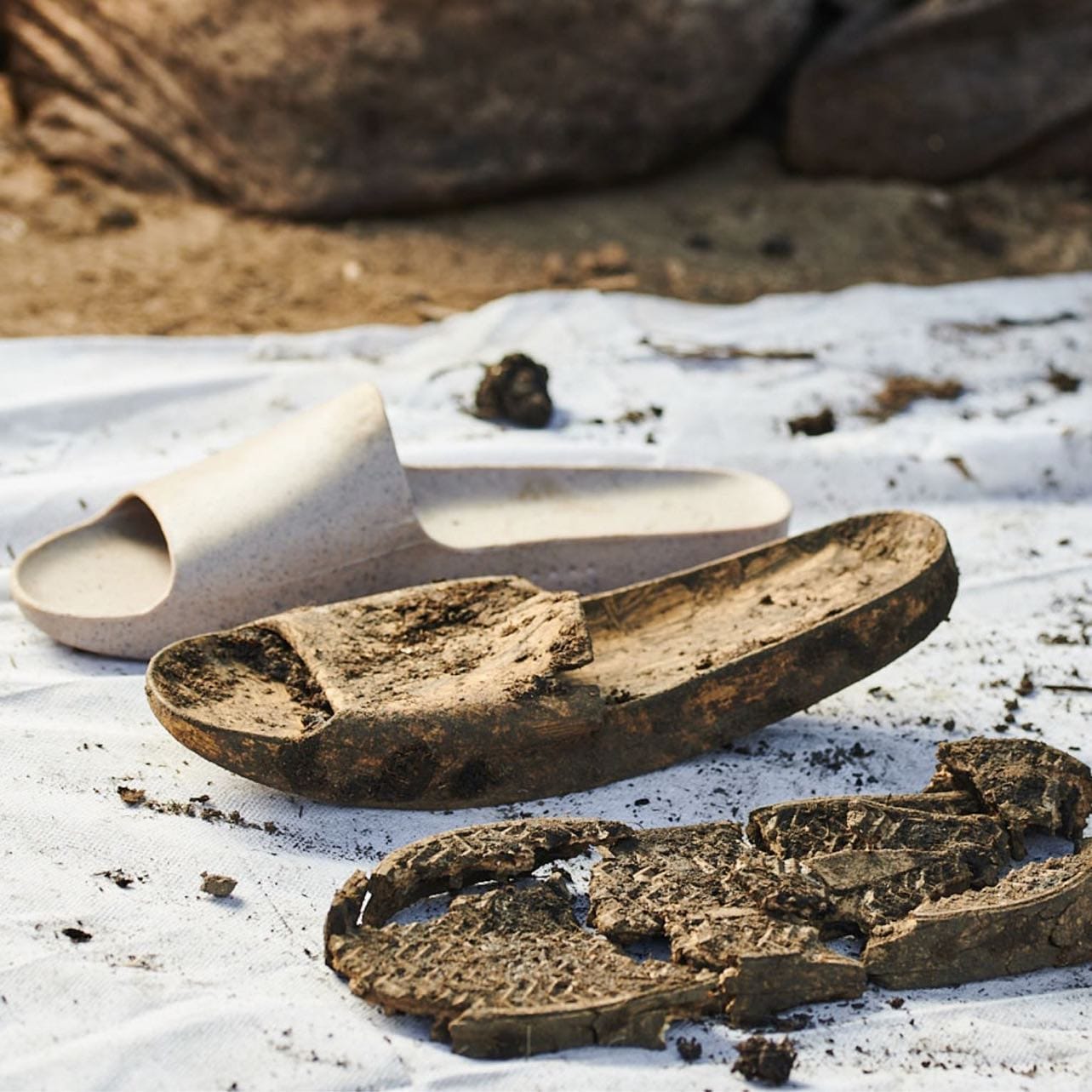 Balena Biodegradable Footwear Brand Sells Out At Launch