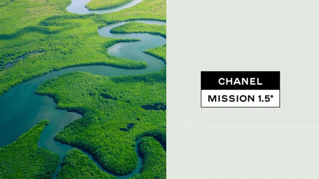 Most Sustainable Luxury Brands Worldwide, by customers opinion (Ranking)