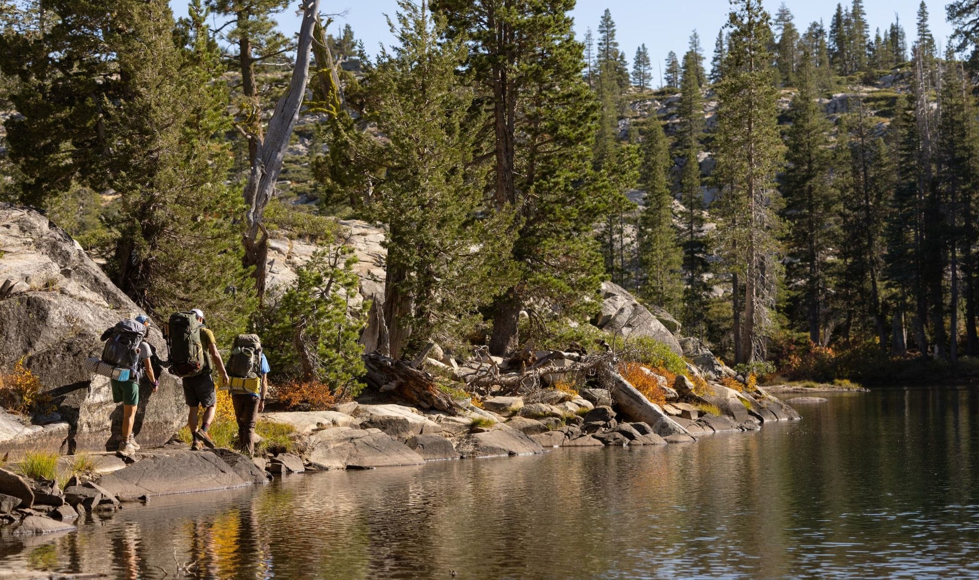 REI Co-op Closes 2025 with Massive Renewable Energy And Circularity Gains